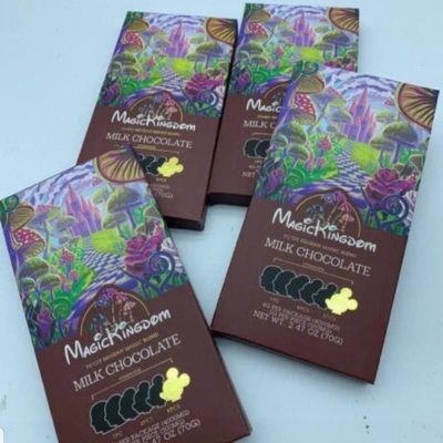 magic kingdom chocolate bars