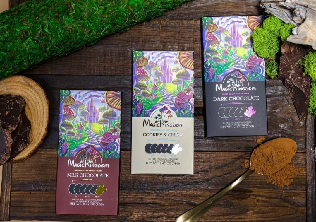 magic kingdom chocolate bars