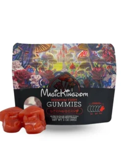 magic kingdom chocolate bars