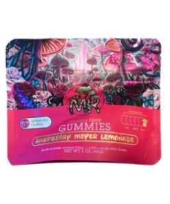 magic kingdom chocolate bars