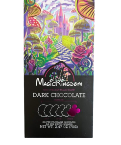 magic kingdom chocolate bars