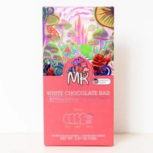 magic kingdom chocolate bars